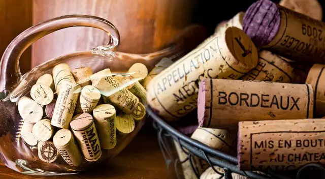 Conoce los detalles de qué es tener corchos de vino en casa