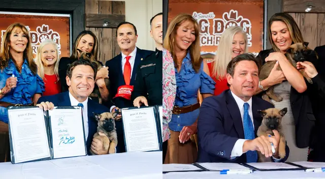 Ron DeSantis Mascotas
