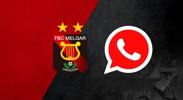 Así activas el modo Melgar o 'Dominó' en la aplicación WhatsApp de tu smartphone Android.