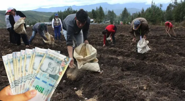 El Bono Agrario estará disponible todo el 2025 a favor de los agricultores. El Bono Agrario estará disponible todo el 2025 a favor de los agricultores.