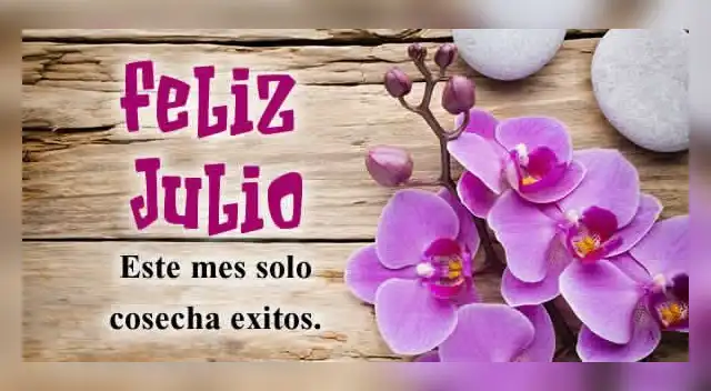Feliz inicio de julio 2025: disfruta con imágenes Feliz inicio de julio 2025: disfruta con imágenes
