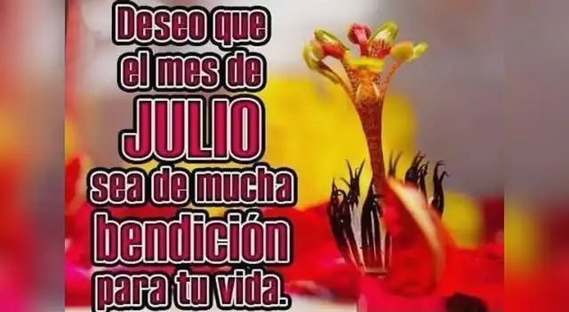 Julio 2025: empezó el mes y aquí podrás encontrar las mejores imágenes para compartir Julio 2025: empezó el mes y aquí podrás encontrar las mejores imágenes para compartir