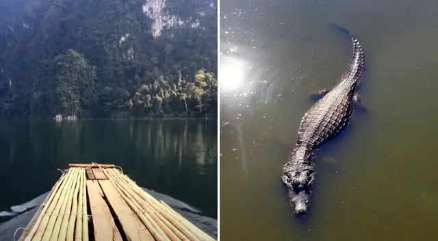 El cuerpo de Diekem fue hallado horas después por oficiales de la FWC. El cuerpo de Diekem fue hallado horas después por oficiales de la FWC.