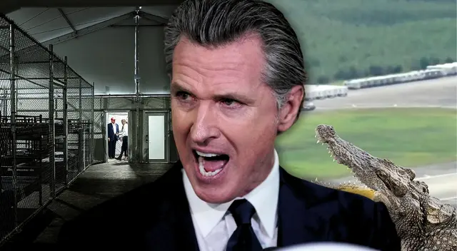 Alligator Alcatraz Gavin Newsom