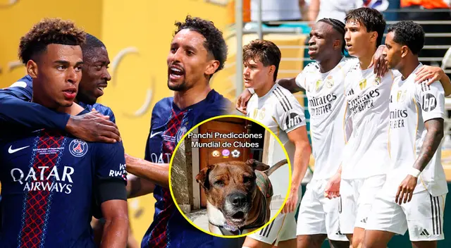 Esta mascota reveló qué equipo será el segundo finalista del Mundial de Clubes, Real Madrid o PSG.