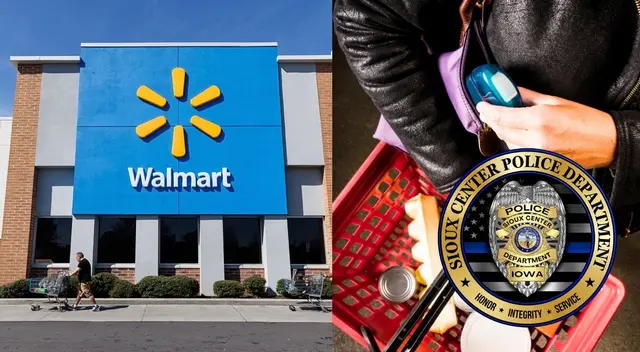 Robo Walmart Robo Walmart