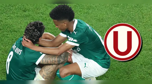 Un importante jugador podría dejar Palmeiras a semanas del partido ante Universitario por Copa Libertadores.