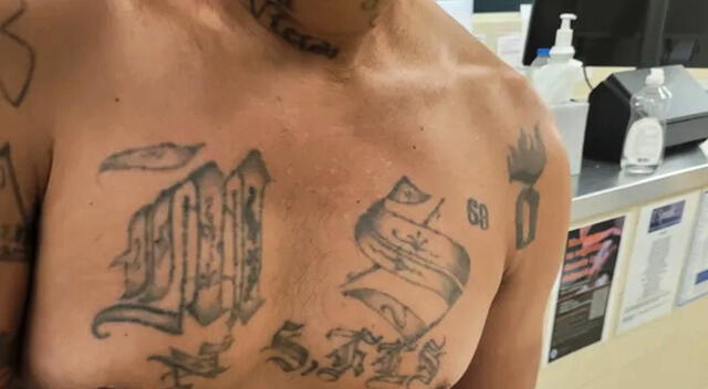 MS-13