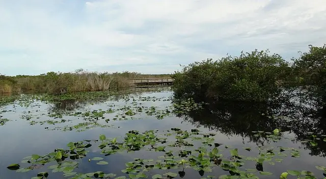 Florida
