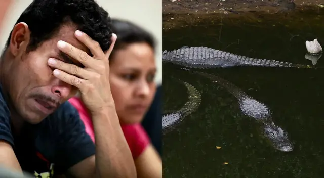 Inmigrantes Alligator Alcatraz Inmigrantes Alligator Alcatraz
