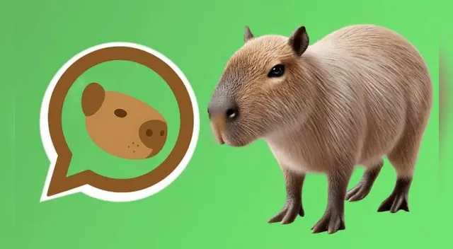 Con la aplicación Nova Launcher podrás activar el Modo Capibara en WhatsApp.