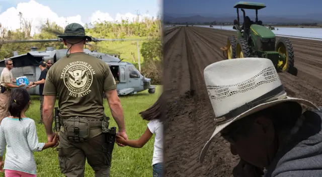 Las redadas de ICE en diferentes granjas ocasionaron que haya escasez de trabajadores por miedo a ser deportados de Estados Unidos.