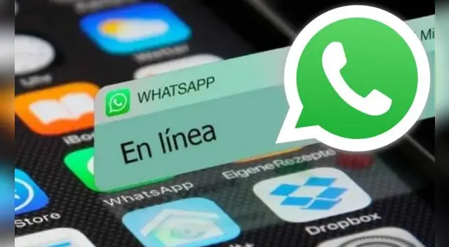 Conoce el truco para evitar que tus contactos de WhatsApp sepan que estás 'en línea' en el aplicativo de Meta.