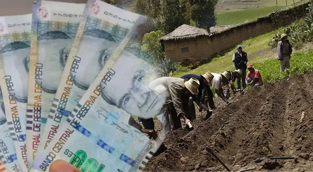 Bono Agrario, agosto 2025: revisa si accedes al subsidio