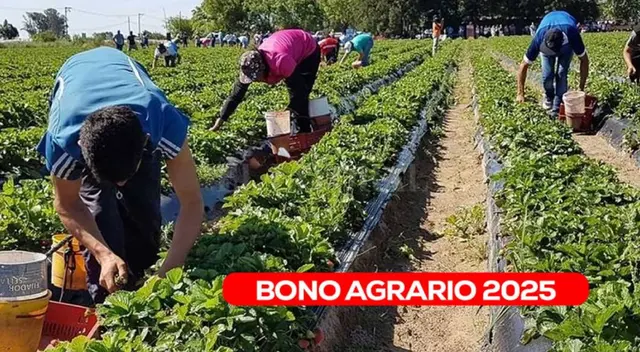 Bono Agrario: revisa si accedes al subsidio este mes