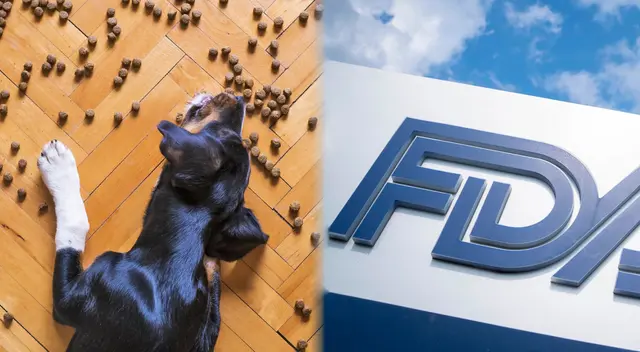 Se sacó de las vitrinas de los locales comerciales comida para animales por tener bacterias infecciosas. Se sacó de las vitrinas de los locales comerciales comida para animales por tener bacterias infecciosas.