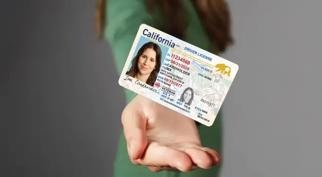 Licencias de conducir. 