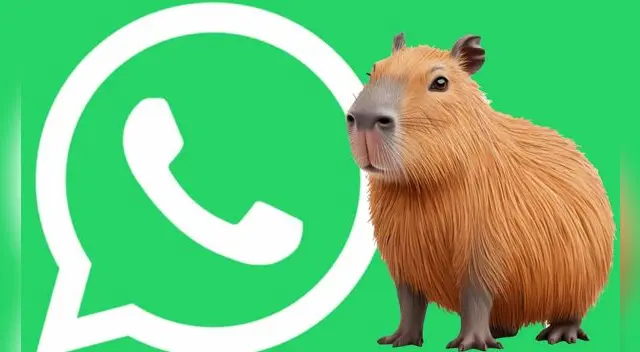 Así podrás obtener GRATIS el Modo Capibara en el WhatsApp de tu teléfono Android.