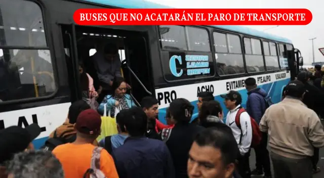 Conoce cuáles son los buses que no acatarán el paro de transportistas.