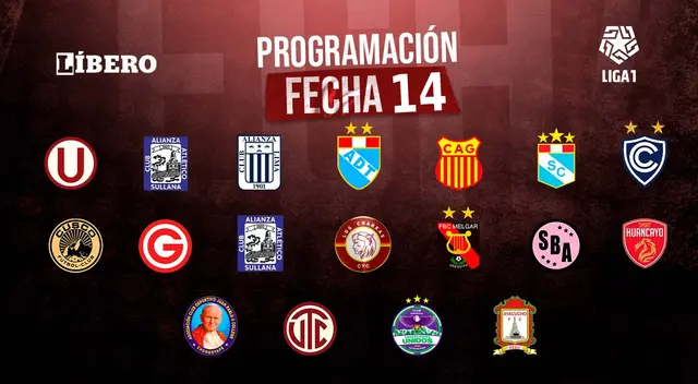 Partidos de la fecha 14 del Torneo Clausura.