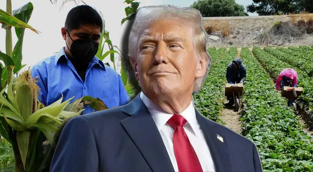 Trump reduce salarios agrícolas