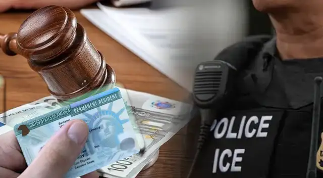 Multan a inmigrantes que circulan sin documentación. Multan a inmigrantes que circulan sin documentación.