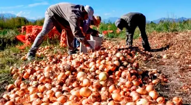 Empleo para inmigrantes en EE. UU. Empleo para inmigrantes en EE. UU.