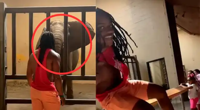 Momento exacto en que el influencer salta la valla de seguridad Momento exacto en que el influencer salta la valla de seguridad
