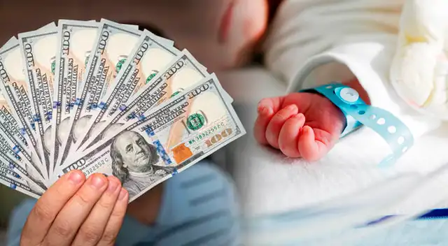 Bono bebé Nueva York Bono bebé Nueva York