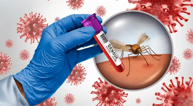 Aedes aegypti avanza en estados donde nunca antes había sido detectado Aedes aegypti avanza en estados donde nunca antes había sido detectado