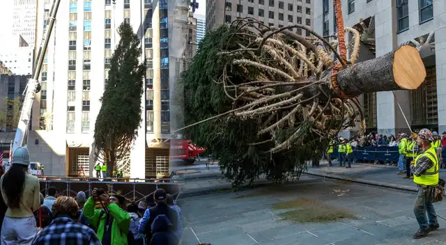 ¿Cuánto mide el árbol de Navidad del Rockefeller Center?