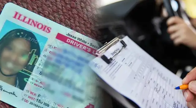 Cambios legales en la renovación de licencias de conducir en Illinois Cambios legales en la renovación de licencias de conducir en Illinois