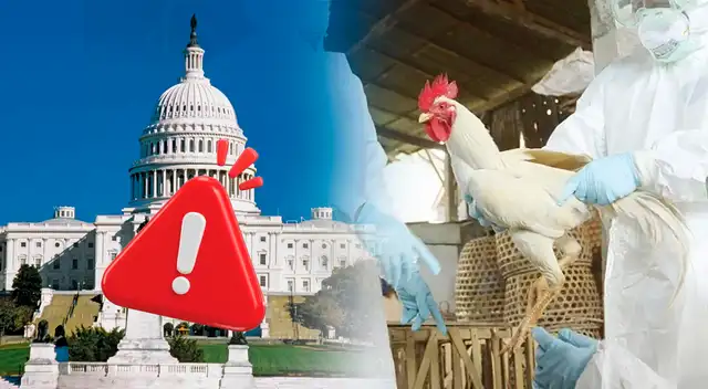 Se confirma el primer caso de gripe aviar H5N5 en Washington. Se confirma el primer caso de gripe aviar H5N5 en Washington.