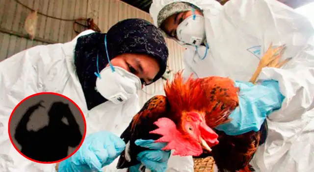 Departamento de Salud deja mensaje tras primer caso de gripe aviar en humanos en EE. UU.