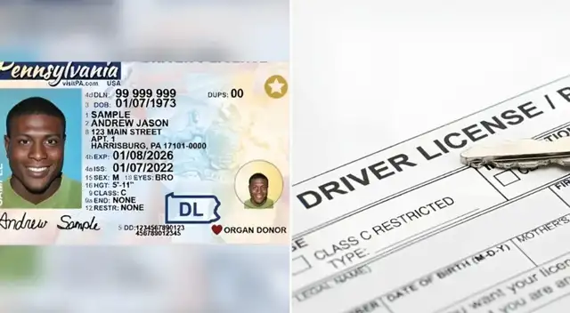 Licencias de conducir