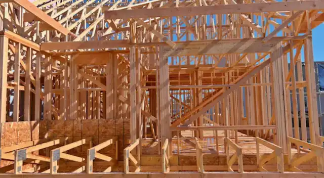 Gavin Newson Gavin Newson