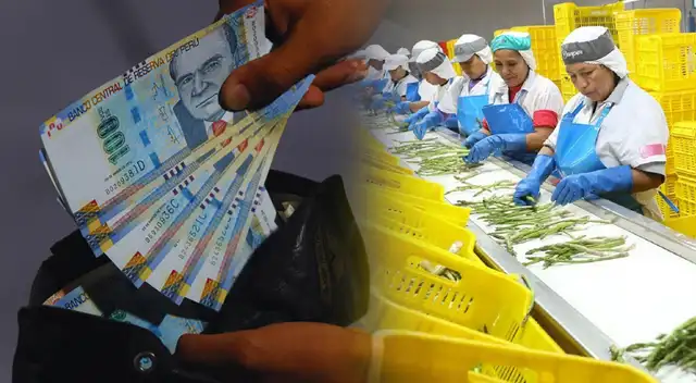 El bono que miles de trabajadores cobrarán en diciembre