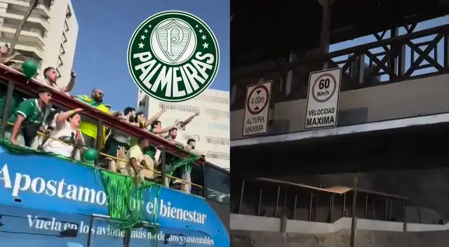 Hincha de Palmeiras fallece en Lima previo a la final de la Copa Libertadores