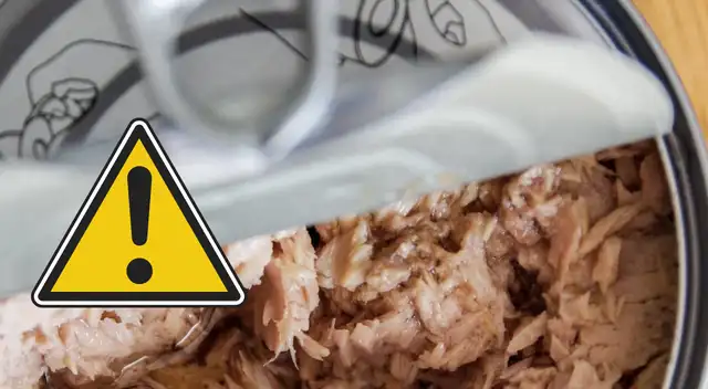 Marcas populares entre los lotes retirados