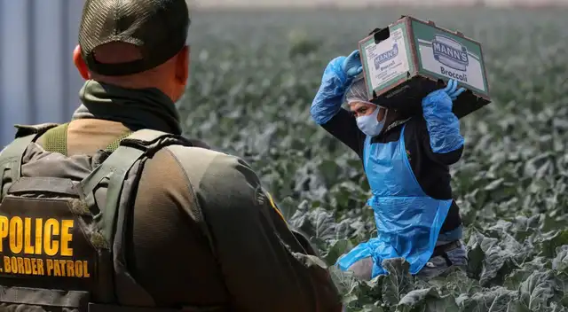 Las políticas del gobierno también alcanzan a los inmigrantes que trabajan a los campos de cultivo.