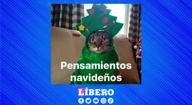 Navidad es sinónimo de decoraciones y muchos ya alistan para recibir esta fecha. Navidad es sinónimo de decoraciones y muchos ya alistan para recibir esta fecha.