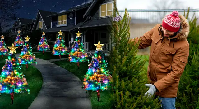 Estas dos leyes, desconocidas por muchos, podrían perjudicarte en Navidad en EE. UU. Estas dos leyes, desconocidas por muchos, podrían perjudicarte en Navidad en EE. UU.