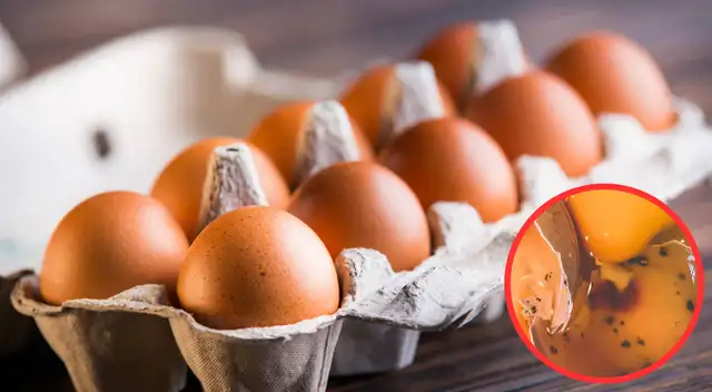 Huevos retirados por riesgo de Salmonella