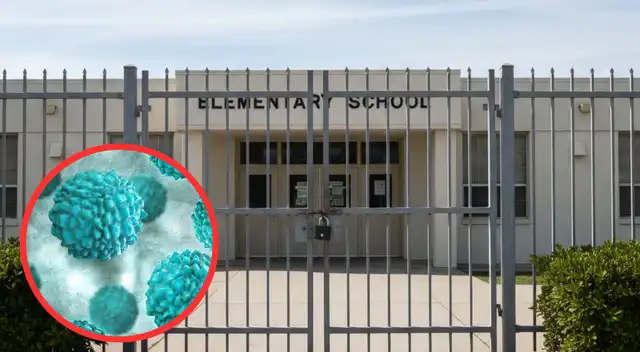 Norovirus vuelve a encender las alarmas en escuelas de EE. UU. Norovirus vuelve a encender las alarmas en escuelas de EE. UU.