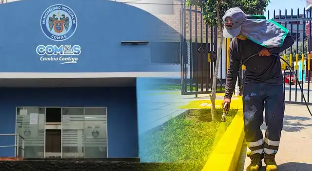 La Municipalidad de Comas anunció que esta iniciativa busca mejorar las áreas verdes. La Municipalidad de Comas anunció que esta iniciativa busca mejorar las áreas verdes.