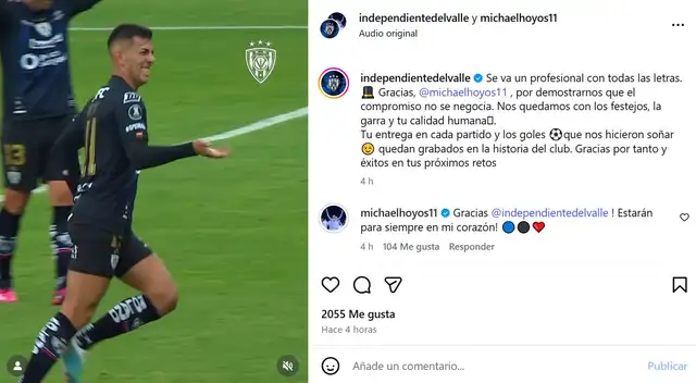 Michael Hoyos, Universitario