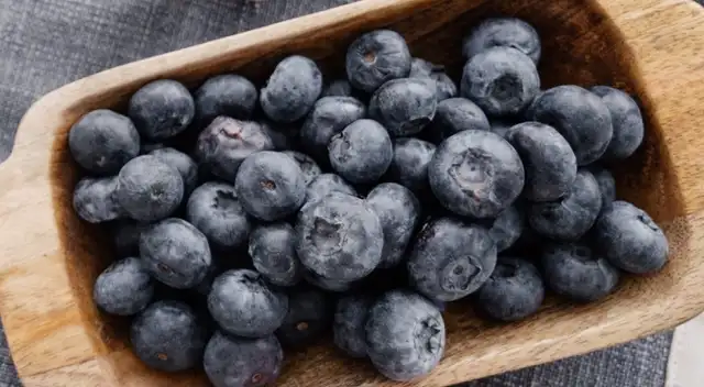 El arándano impulsa el crecimiento agroexportador del Perú en la campaña 2025-2026. El arándano impulsa el crecimiento agroexportador del Perú en la campaña 2025-2026.