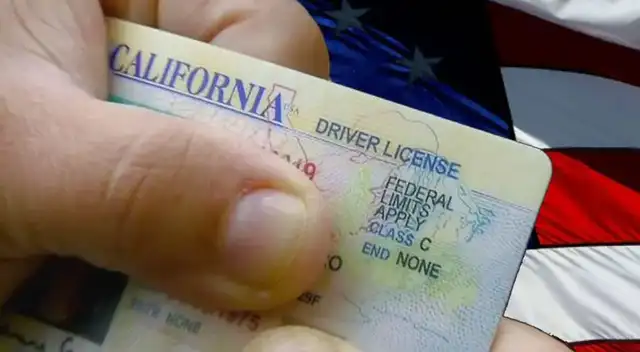 Licencias de conducir.