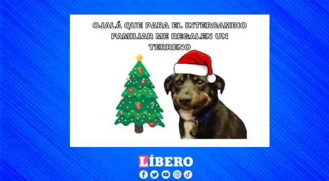 Navidad 2025: revisa los mejores memes por fiestas