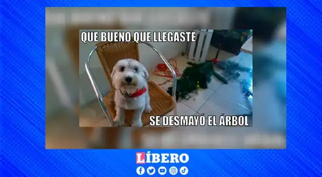 No te pierdas los mejores memes del 2025